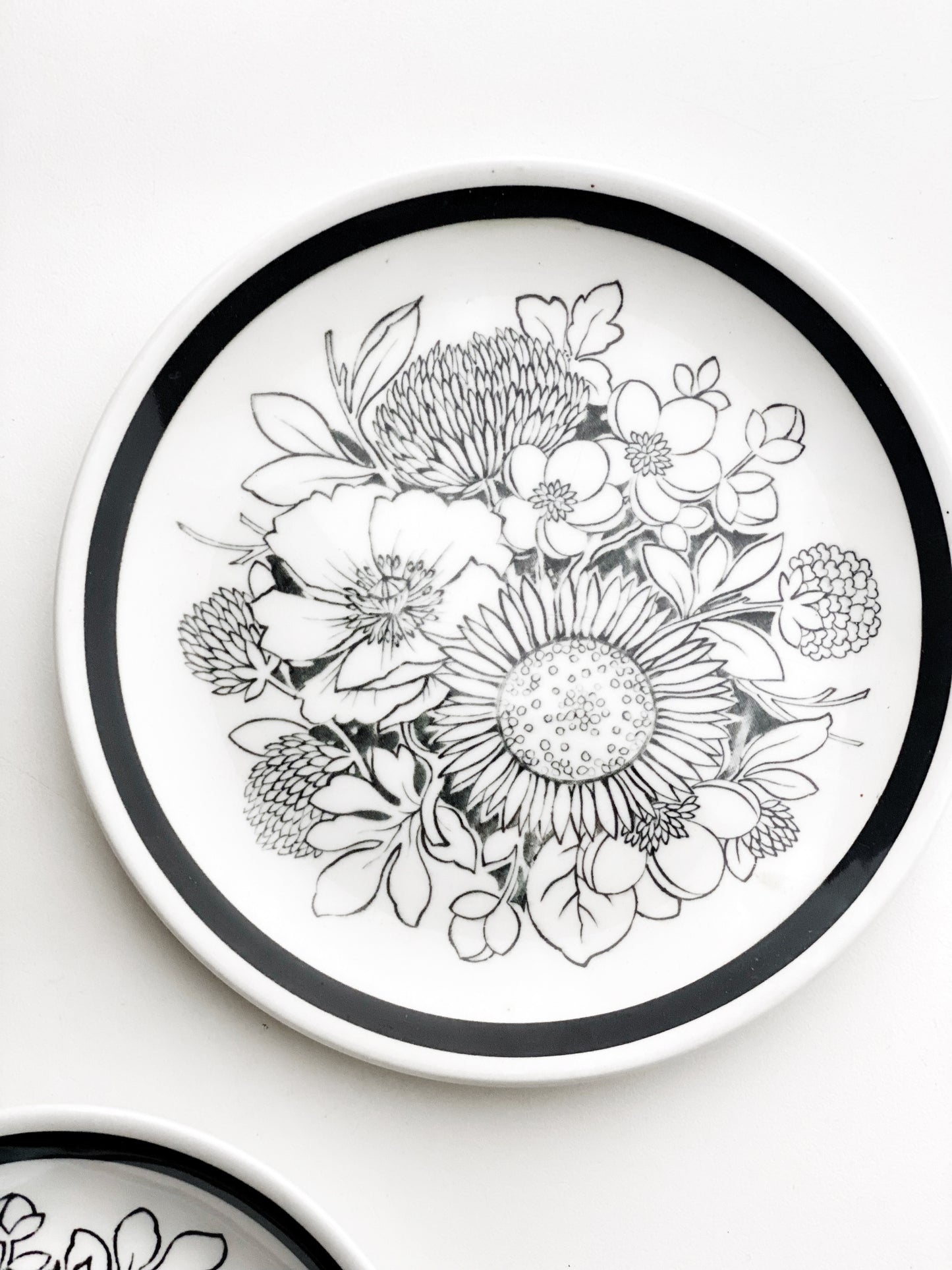 Alfred Meakin 'Samoa' 1960s Coffee Set illustrations of the Hedgerow