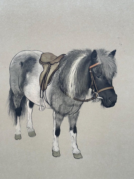 Vintage Norwegian Pony Lithograph Print By Maurice Wilson